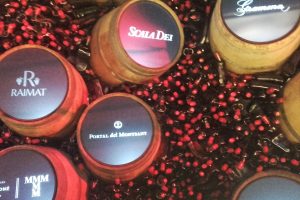 Opera Samfaina Barcelona